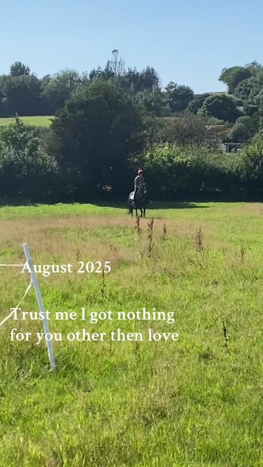 TikTok video thumbnail by bellhedger