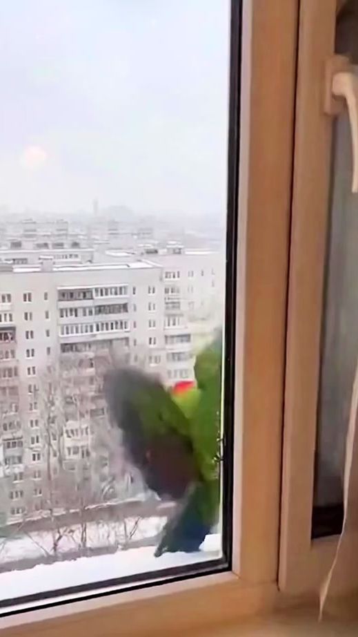 TikTok video thumbnail by belle___puma