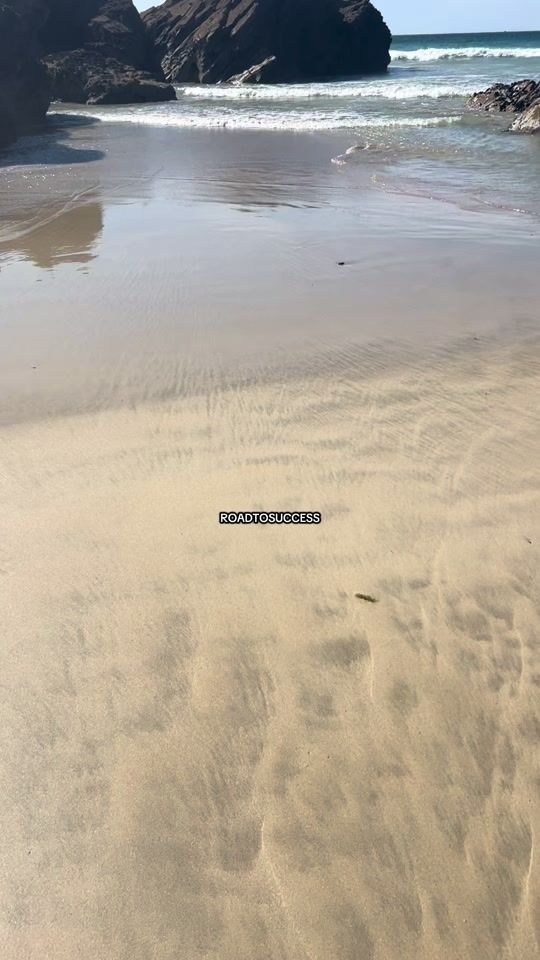 TikTok video thumbnail by _the_road_to_success_