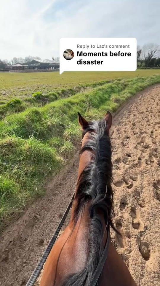 TikTok video thumbnail by meg.campbe11