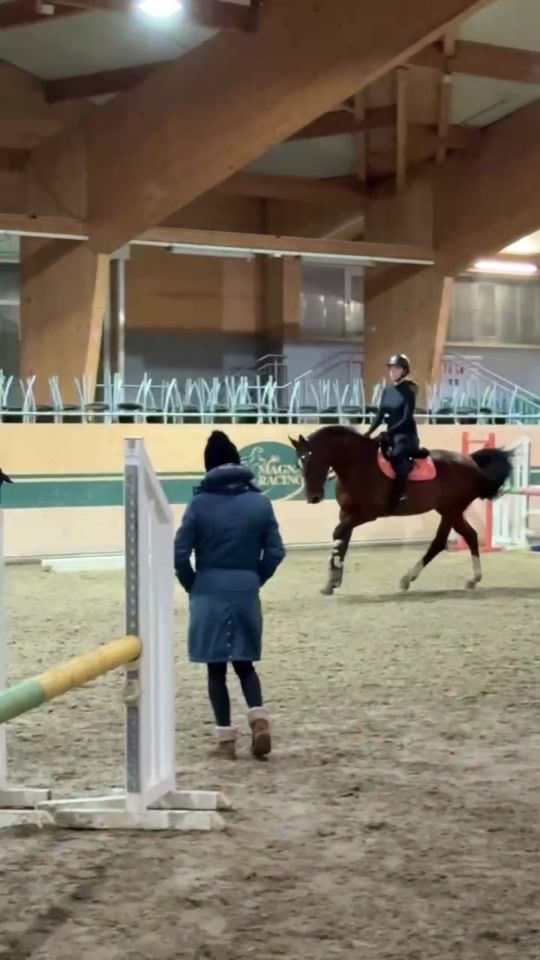 TikTok video thumbnail by showjumping.finni