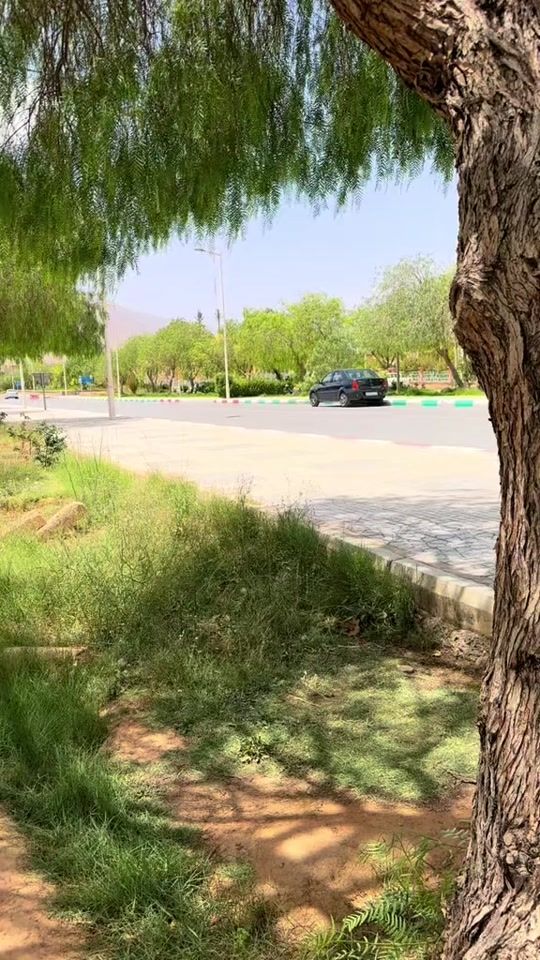 TikTok video thumbnail by esmael.fh3