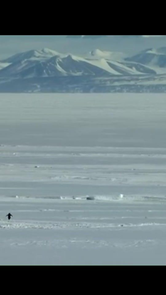 TikTok video thumbnail by vilhelmzz