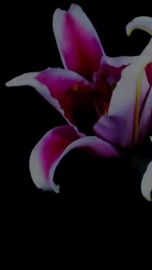 TikTok video thumbnail by 1.son.par.jour_