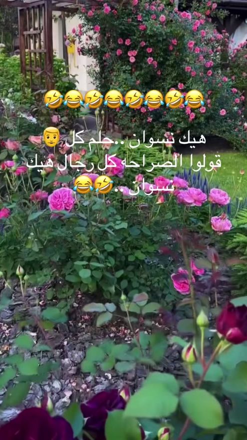 TikTok video thumbnail by malak_.sy