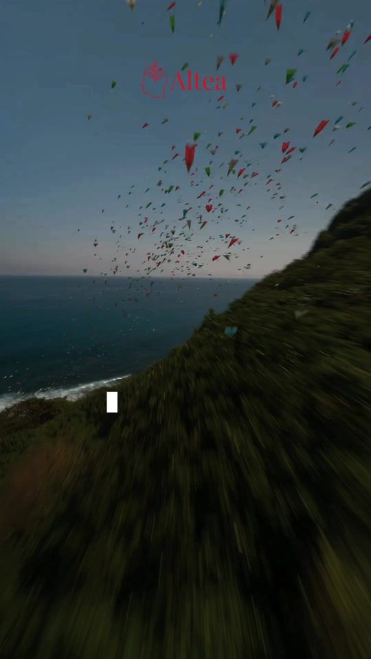 TikTok video thumbnail by realaltea