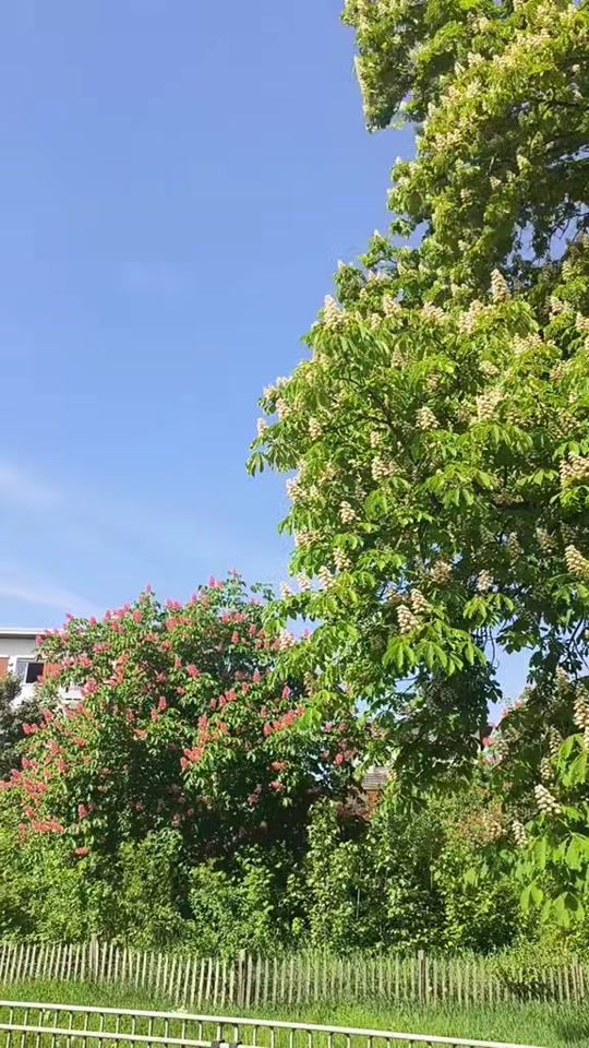 TikTok video thumbnail by family.al.tijany