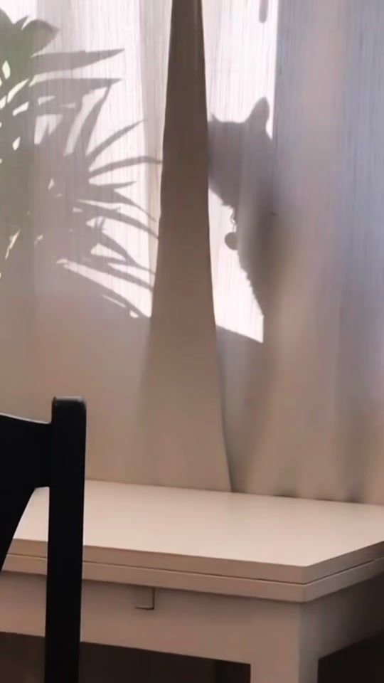 TikTok video thumbnail by miffipiffy