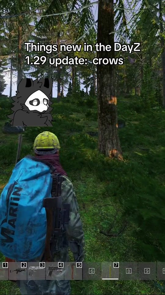 TikTok video thumbnail by pristinesledgehammer