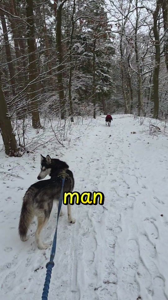 TikTok video thumbnail by kathy.lein225