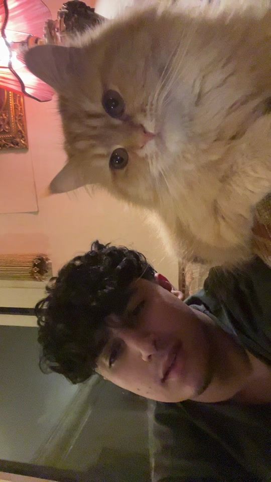 TikTok video thumbnail by jr.fahoood_