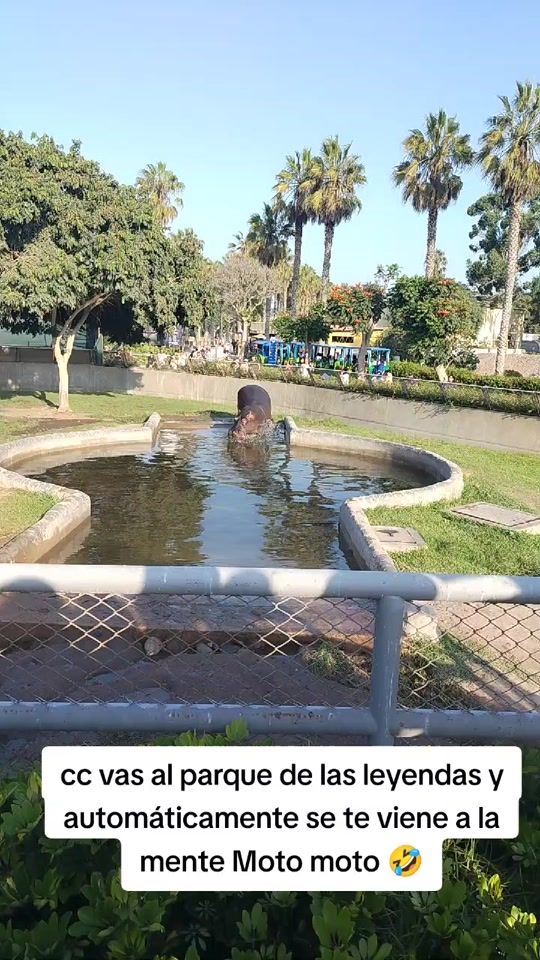 TikTok video thumbnail by virginia_katherine