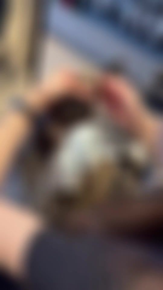 TikTok video thumbnail by user1967811883215