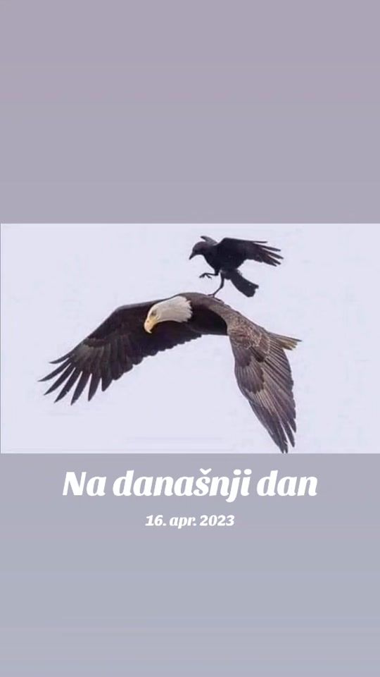 TikTok video thumbnail by petrazajcrobic