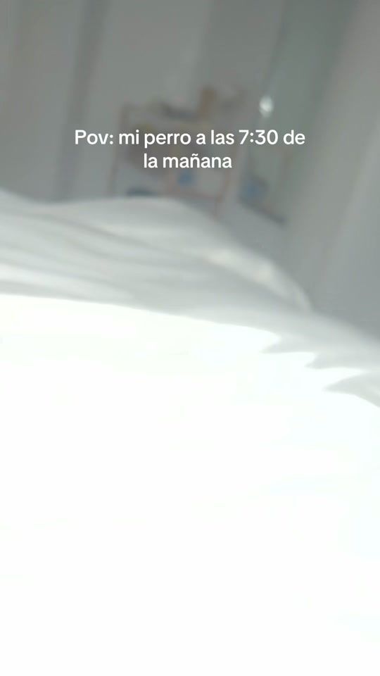 TikTok video thumbnail by soygoldenmilo