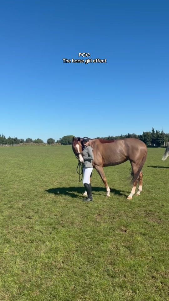 TikTok video thumbnail by allinequestrian