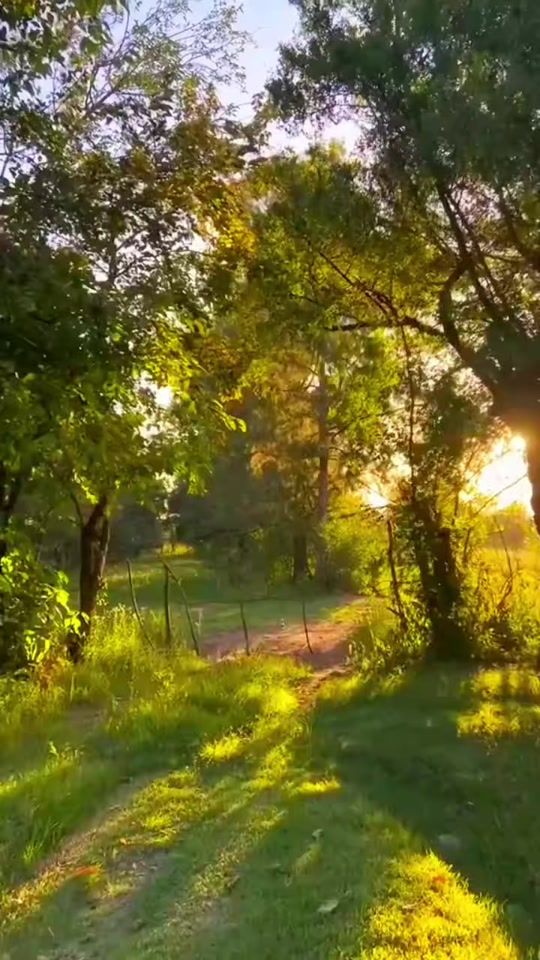 TikTok video thumbnail by world_draemcore