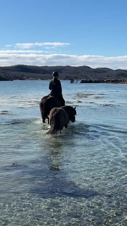 TikTok video thumbnail by equestrian_sol