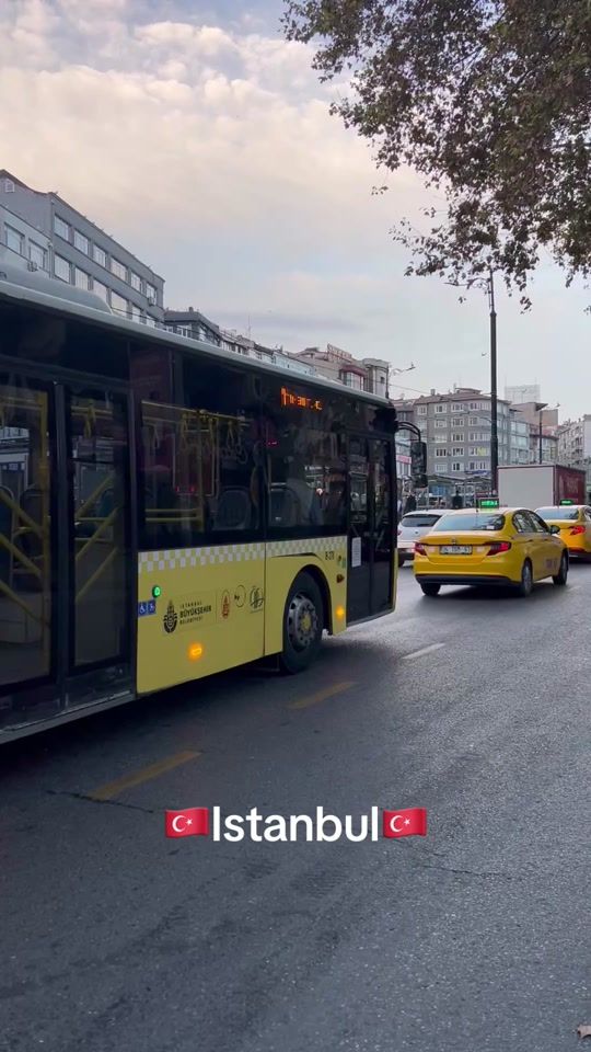 TikTok video thumbnail by tonycanea