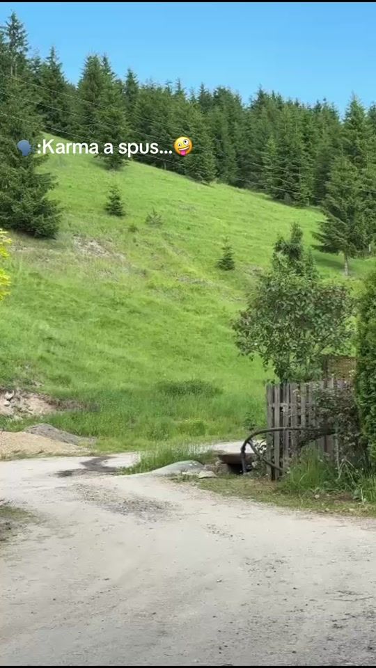 TikTok video thumbnail by vasi_ktm