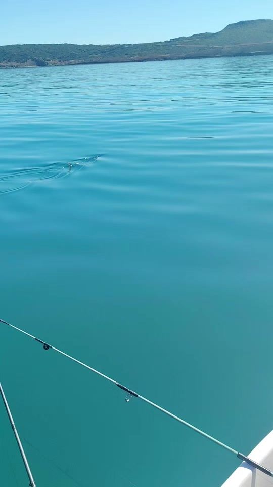 TikTok video thumbnail by hamadiabbassi6