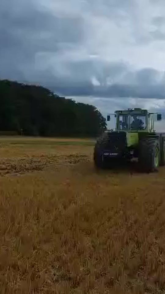 TikTok video thumbnail by profimagazin