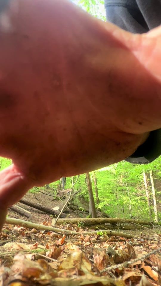 TikTok video thumbnail by vid_valjavec