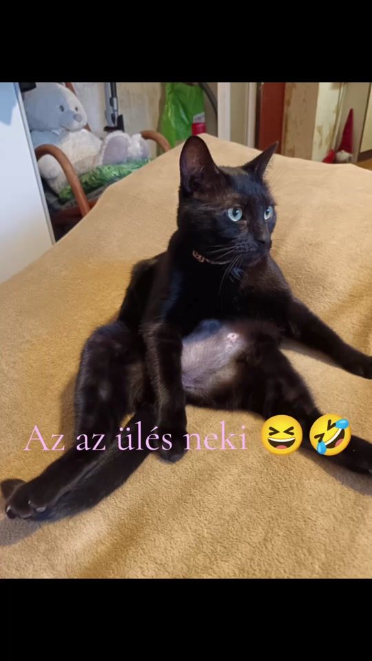 TikTok video thumbnail by freya20228