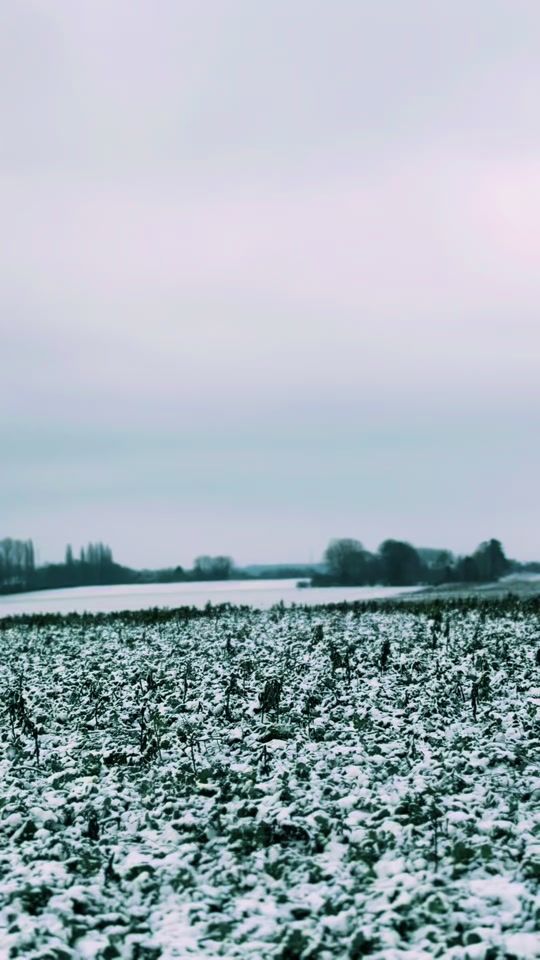 TikTok video thumbnail by laurentdeslee