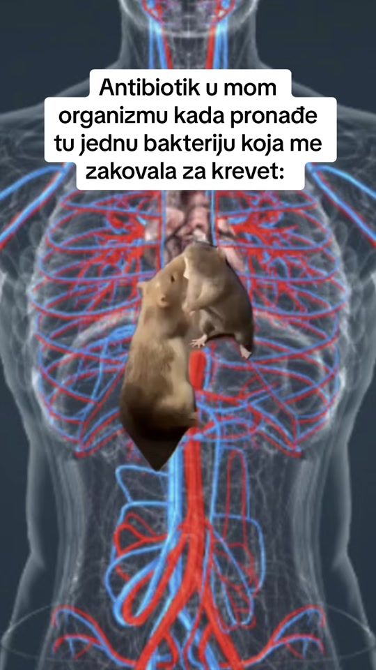 TikTok video thumbnail by _blagojevicvladimir_