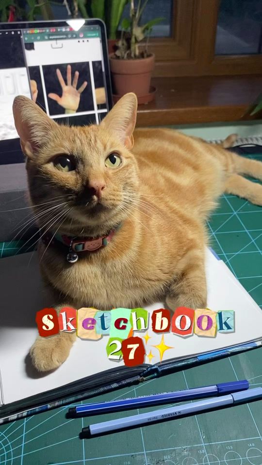 TikTok video thumbnail by sewerpencil
