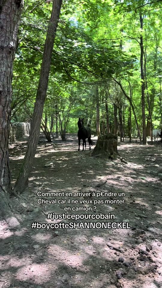 TikTok video thumbnail by r0mane.mrn2