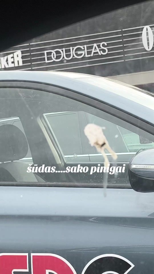 TikTok video thumbnail by violeta.violeta0
