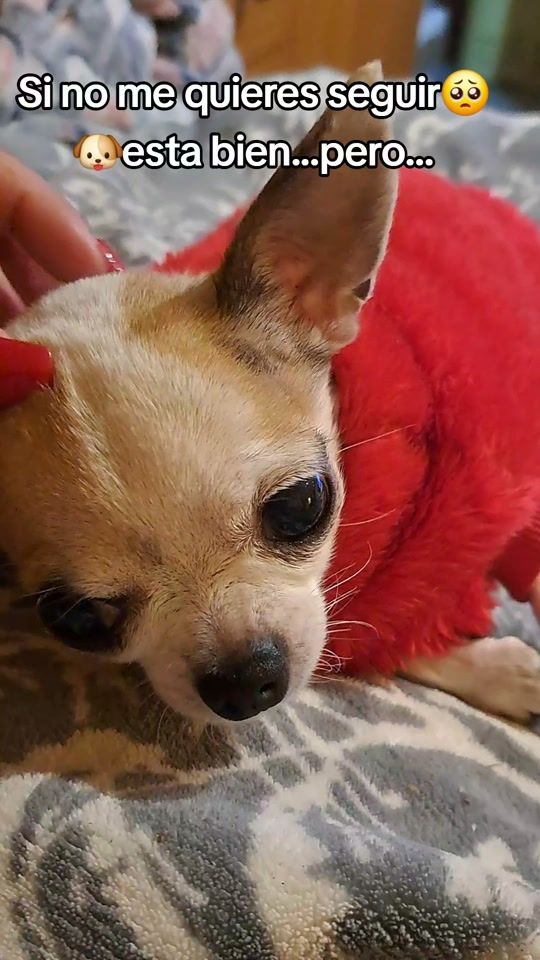 TikTok video thumbnail by rocio.82