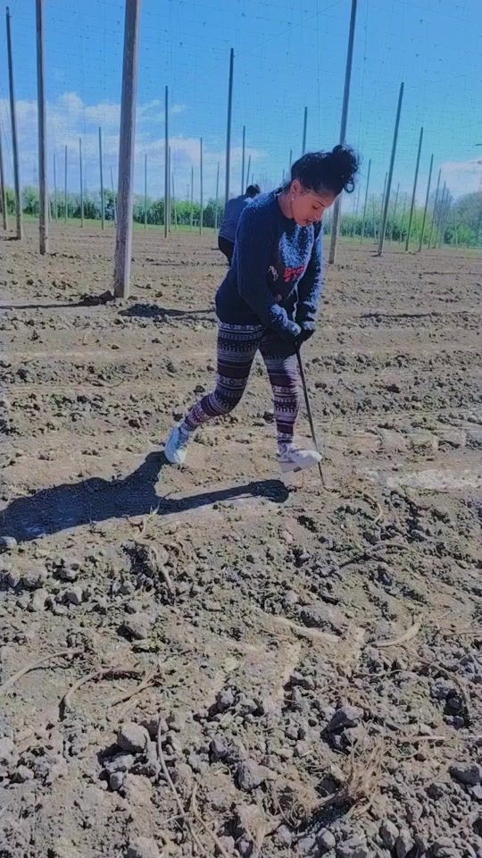 TikTok video thumbnail by gabrielapeco7