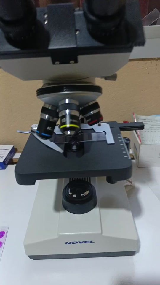 TikTok video thumbnail by biologiste.modest