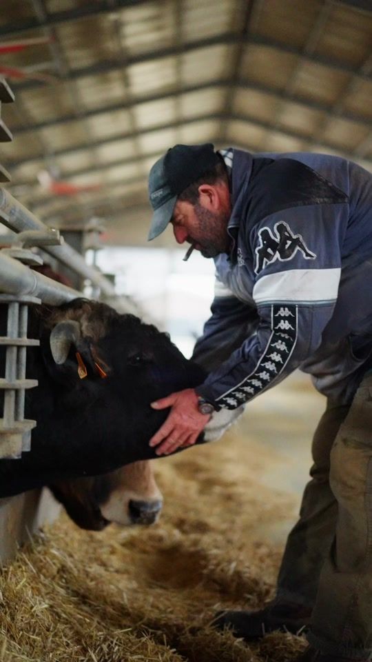 TikTok video thumbnail by bellucofarm