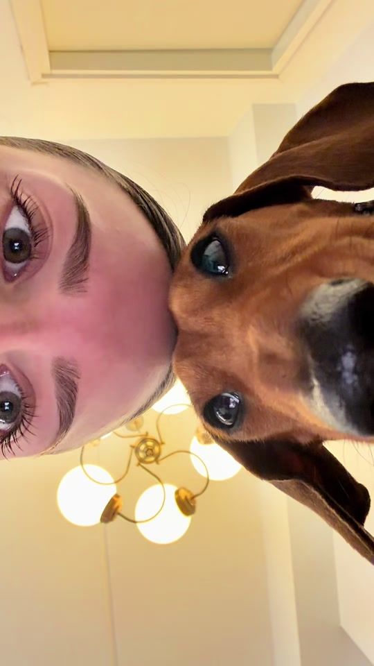 TikTok video thumbnail by lord_fabius