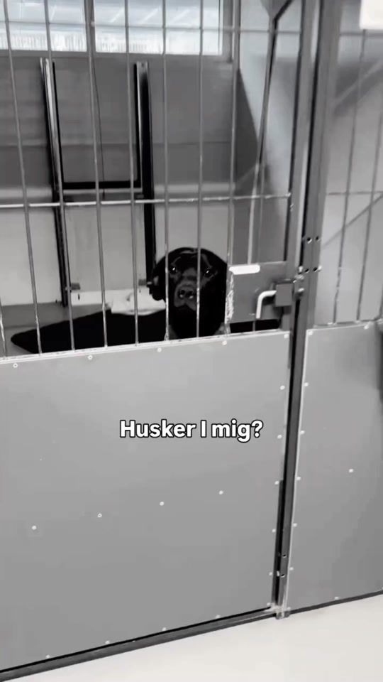 TikTok video thumbnail by roskildeinternat