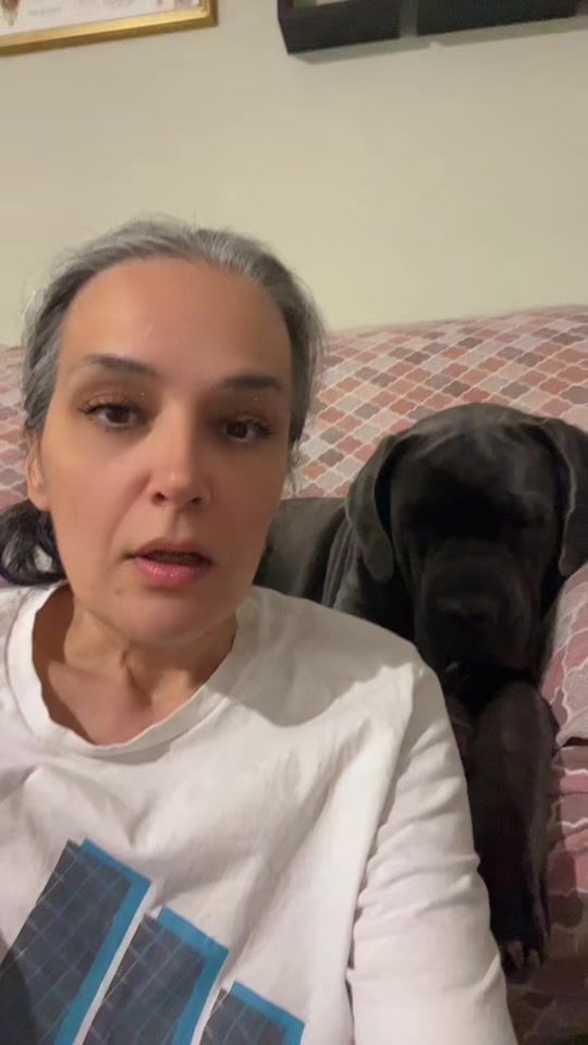TikTok video thumbnail by horus_dobermann