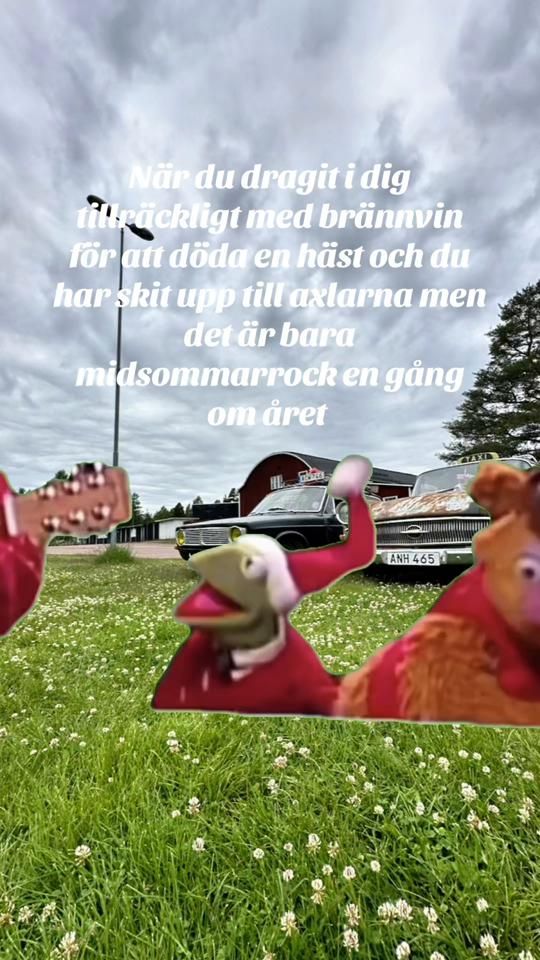 TikTok video thumbnail by finkeln