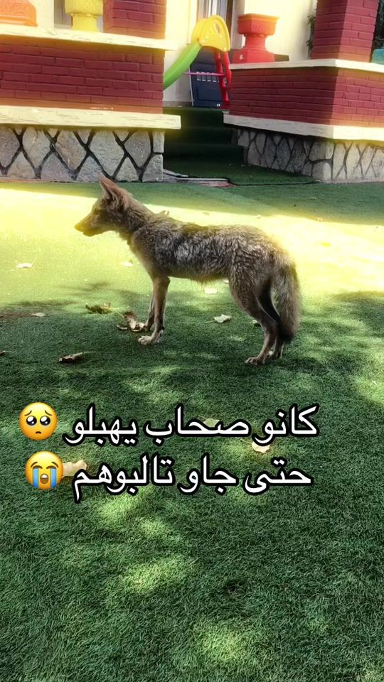 TikTok video thumbnail by besbexudkxp