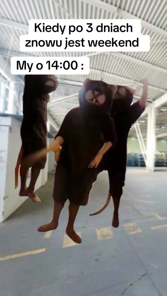 TikTok video thumbnail by ritt_trip
