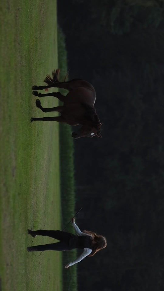 TikTok video thumbnail by fiery.horses_