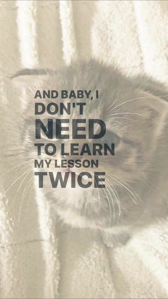 TikTok video thumbnail by lyrics.kittens