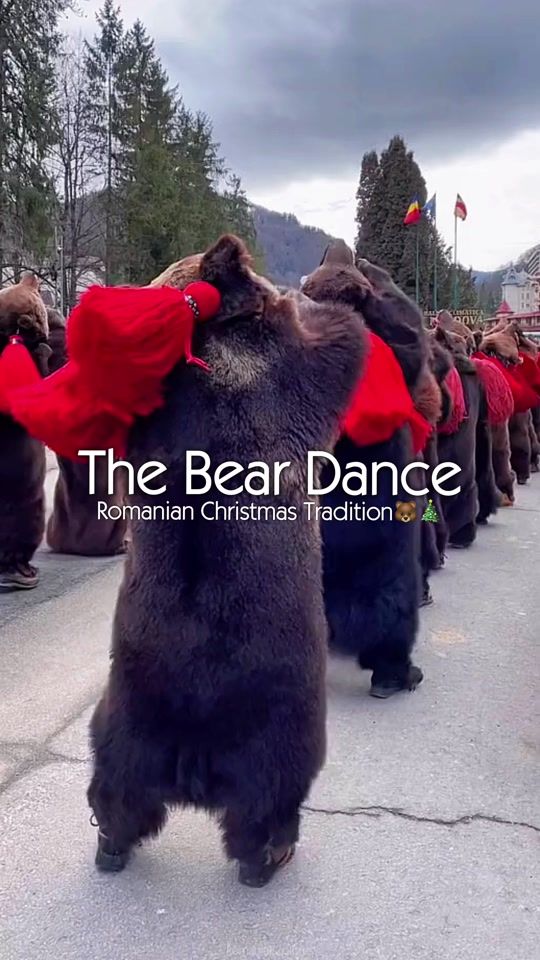 TikTok video thumbnail by romaniaexplores