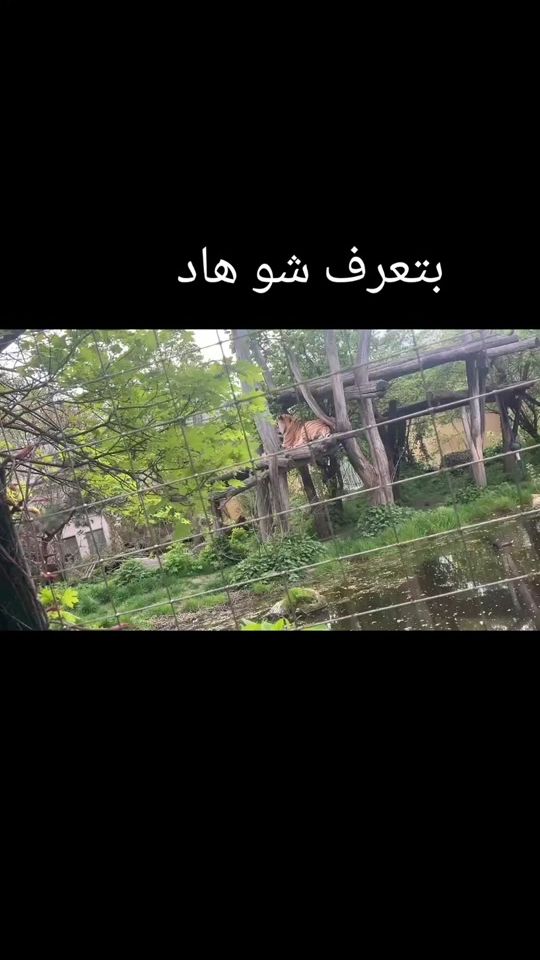 TikTok video thumbnail by gazal__s