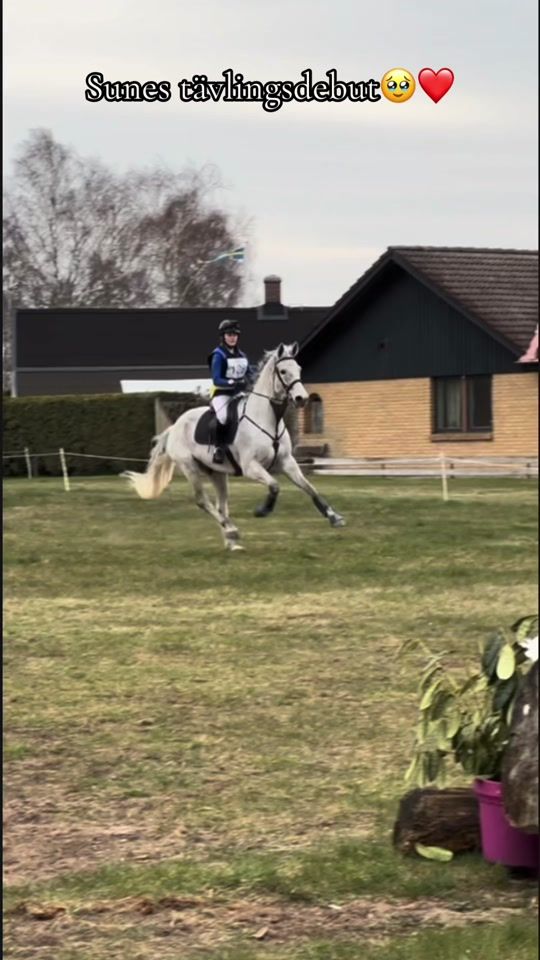 TikTok video thumbnail by _alice_eventing_