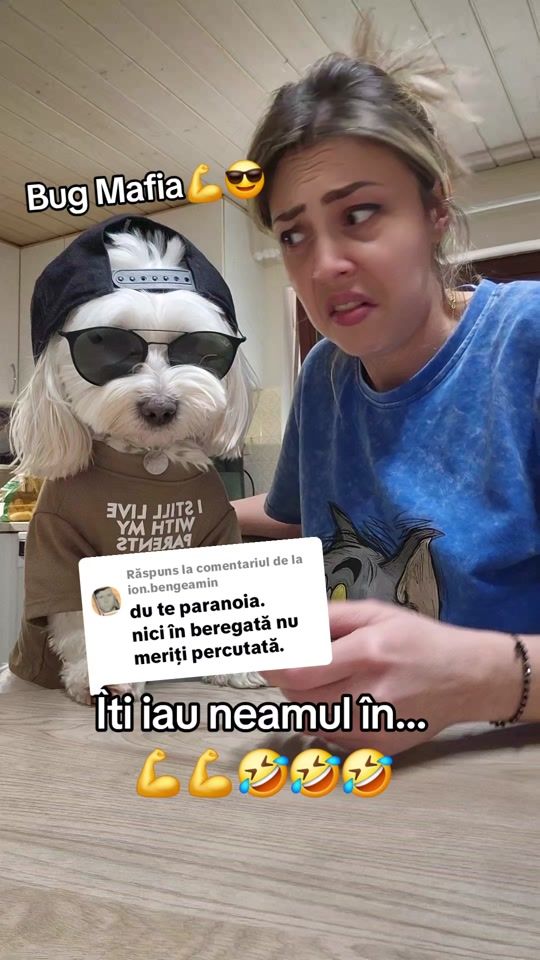 TikTok video thumbnail by toto.maltese