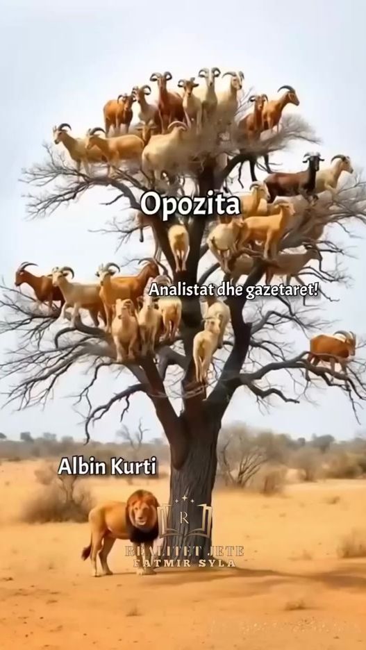 TikTok video thumbnail by selimberisha852